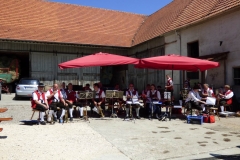 Fronleichnam_2015_11